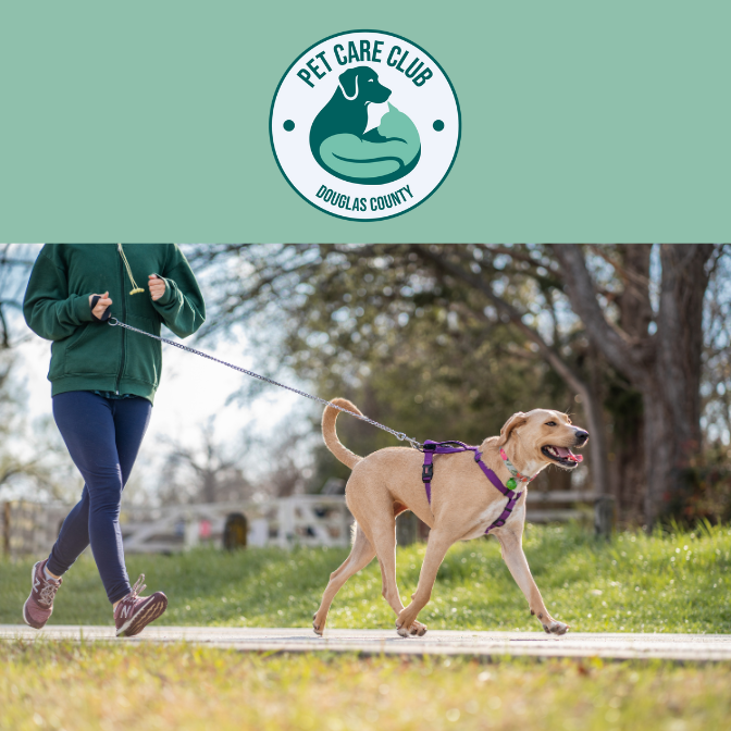 Castle Rock dog walking — Pet Care Club walker with happy dog outdoors