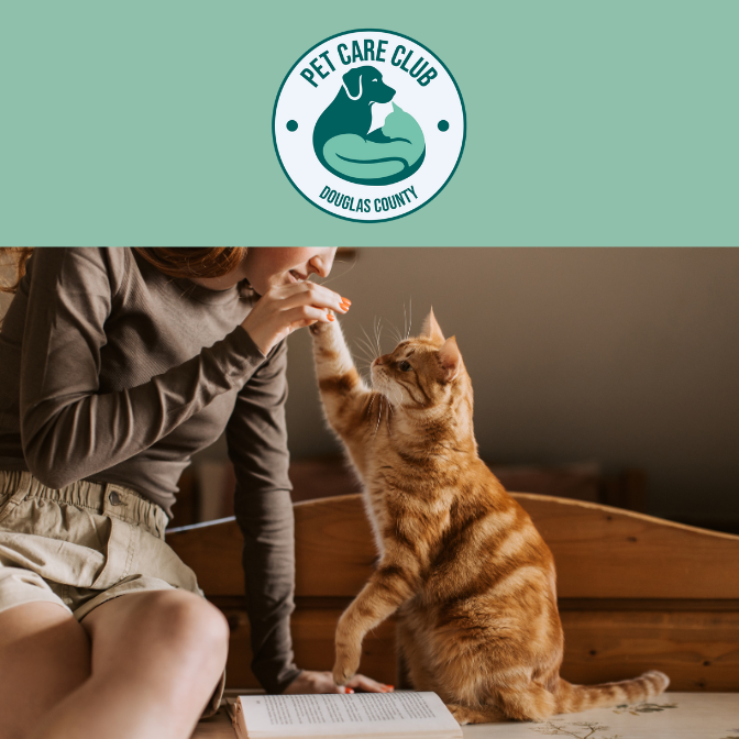 Pet Care Club professional pet sitting - person with orange cat giving high-five, showing personalized in-home care